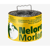 Morlan
