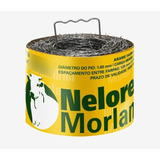 Morlan