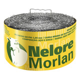 Arame Farpado Nelore 500 Metros Morlan