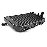 Arashi Radiator Cooler Para SUZUKI TL1000R 1998 2001 Acessórios De Substituição De Motocicleta TL 1000 TL1000 R Preto 1999 2000