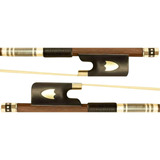 Violoncelo