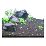 Areia Preta Natural 10kg Rocha Black 5kg Aquários Peixes