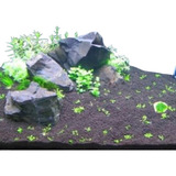 Areia Preta Natural 27kg Rocha Black 5kg Aquários Peixes