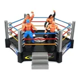 Arena Ufc Com 4
