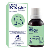 Terapia