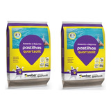 Argamassa P Pastilha De Vidro E Porcelana 10kg Quartzolit