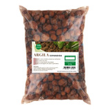 2kg
