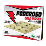Unidades