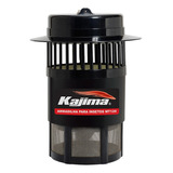 Kajima