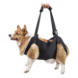 Cães