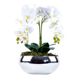 Arranjo Com 4 Orquídeas Brancas Toque Real Vibrante