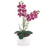 Arranjo Completo De Mini Orquidea De Silicone Com Vaso E Cascas De Pinus Natural-Vaso Gesso-roxa-