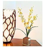 Arranjo De Orquídeas Amarelas Delicadas Com