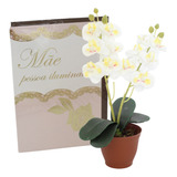Arranjo Flor Artificial Orquídea Cartão Feliz Dia Das Mães