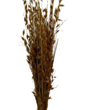 Arranjo Floral Natural Desidratado Capim Dourado Bouquet