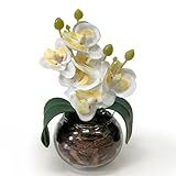 Arranjo Mini Flor Orquidea Artificial No Vaso De Vidro Transparente Com Casca - Decoração Sofisticada