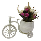 Bicicleta0
