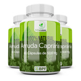 Arruda Capraria Cáps 500mg Kit 3 Potes galega Officinalis
