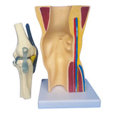 Medicina