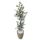 Arvore Artificial Ficus Verde Figueira Grande Com Vaso Decoração 3D Bege G
