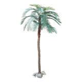 Arvore Planta Palmeira Fênix 3 2 Mt Grande Premium