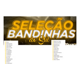 As Melhores Bandas Gauchas Grevado Em Pendriver