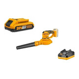220v