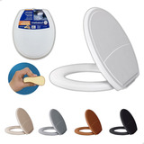 Oval