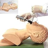 Atemwegsmanagement Trainer Simulador De Treinamento De Manequim De Intubação Nasal Oral Modelo De Estudo De Ensino De Cabeça De Intubação Modelo De Esqueleto De Manequim