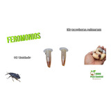 Atrativo Feromônio Para Besouro Do Bicudo Côqueiro 02un