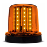 Bivolt