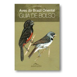 Avisbrasilis