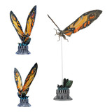 Moth