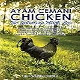 Ayam Cemani Chicken The Indonesian Black Hen A Complete Owner S Guide To This Rare Pure Black Chicken Breed Covering History Buying Housing Feeding Health Breeding Showing 