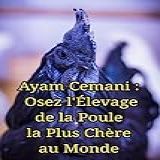 Ayam Cemani   Osez L Élevage De La Poule La Plus Chère Au Monde  French Edition 