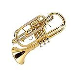 B Flat Lacquer Gold Pocket Trumpet Fluger Bronze Música Exame De Nível Iniciante Tocar Trompete BolsoTrompete