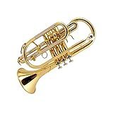 B Flat Lacquer Gold Pocket Trumpet Fluger Bronze Música Exame De Nível Iniciante Tocar Trompete Mini Trompete