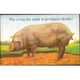 B6151 Bilhete Postal Secretaria Da Fazenda Na Criação Está A