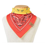 Babador Bandana Dupla Face Para Bebê Pet Jr Zucky 38cm Cor Laranja Ludico Tamanho Un