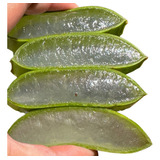 500g