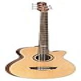 Baixolão Strinberg Sb250c Ns Baixo Elétrico 5 Cordas Natural