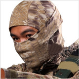 Ninja