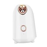 Baluue Instrumento De Reabastecimento De Água Portátil Umidificador De Névoa Quente Máquina De Vaporização Facial Extensão De Cílios Spa Umidificador De Beleza Vapor Quente