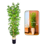 Bambu Mossô Artificial Tronco Natural 180cm