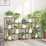 Jardim