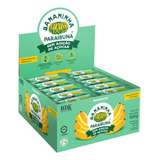 Bananinha Paraibuna Natural Sem Açúcar 920g Saudável Zero