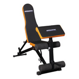 Banco 10x1 P Supino Com Rosca Scott Cadeira Extensora