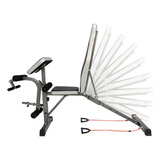 Extensora