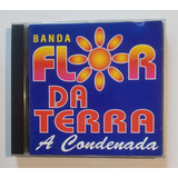 Banda Flor Da Terra Cd Nacional
