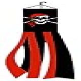 Bandana Vermelha Jolly Roger Pirata Windsock Poliéster Outdoor Garden Wind Sock 152 Cm